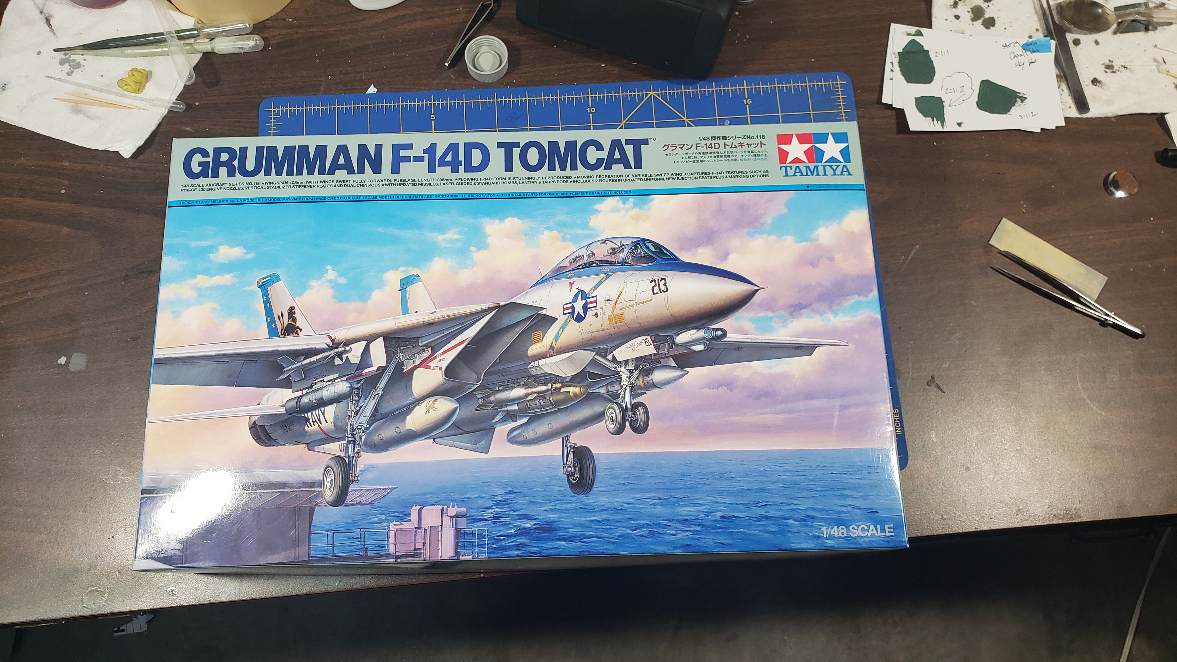 1/48 Tamiya F-14D --> F-14B VF-143 Dog 100 - F-14 Group Build