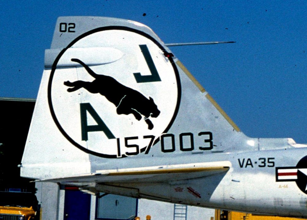 A-6E_157003_VA-35_Nimitz_AJ-502_A-2403_Tail_Sm.jpg